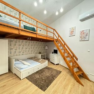 Appartement met een Slaapkamer